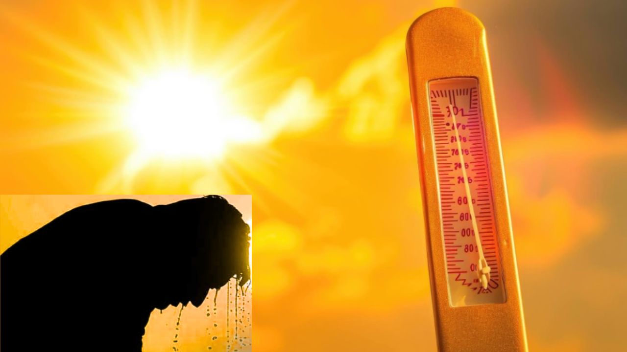 Temperature Delhi